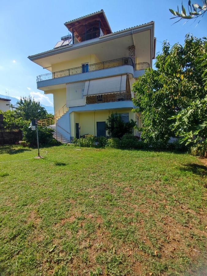 Cheerful 2 Bedroom Villa With Free Parking. Gjirokaster Luaran gambar